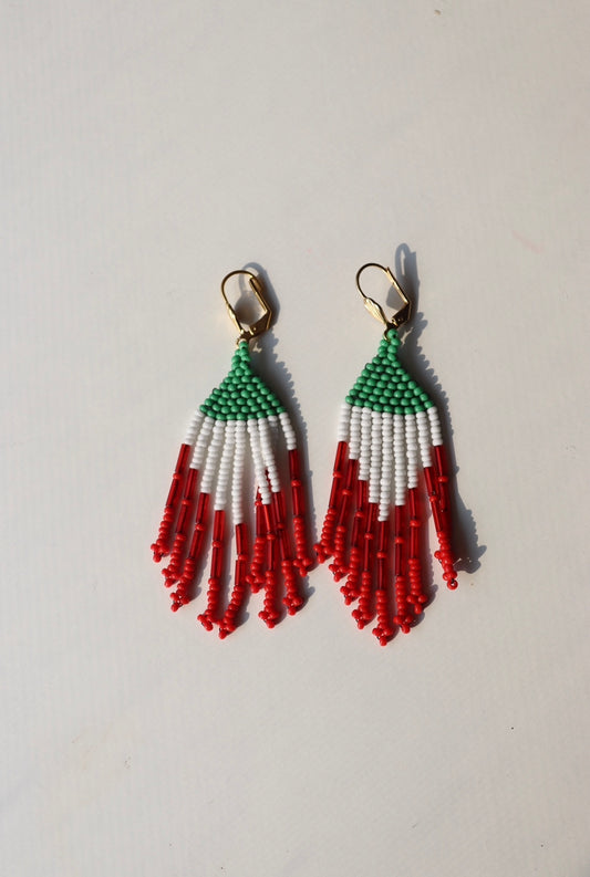 * Mexico Flag - Repurposed Earrings